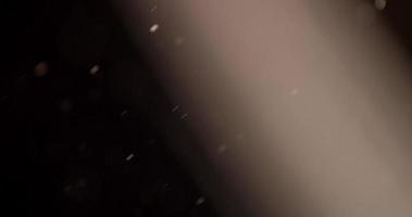 Soft and transparent particles moved by the wind on background with raylight in 4K video