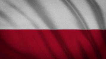 Poland Flag video