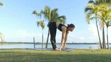 donna asiatica che fa yoga nel parco video