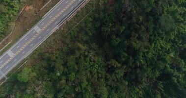 vista aérea da estrada rural na floresta video