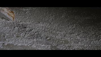 Falling Doughnuts with powdered sugar - DOUGHNUTS 007 video