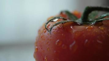 gota de agua de la lluvia sobre la piel de tomate a cámara lenta y primeros planos. video