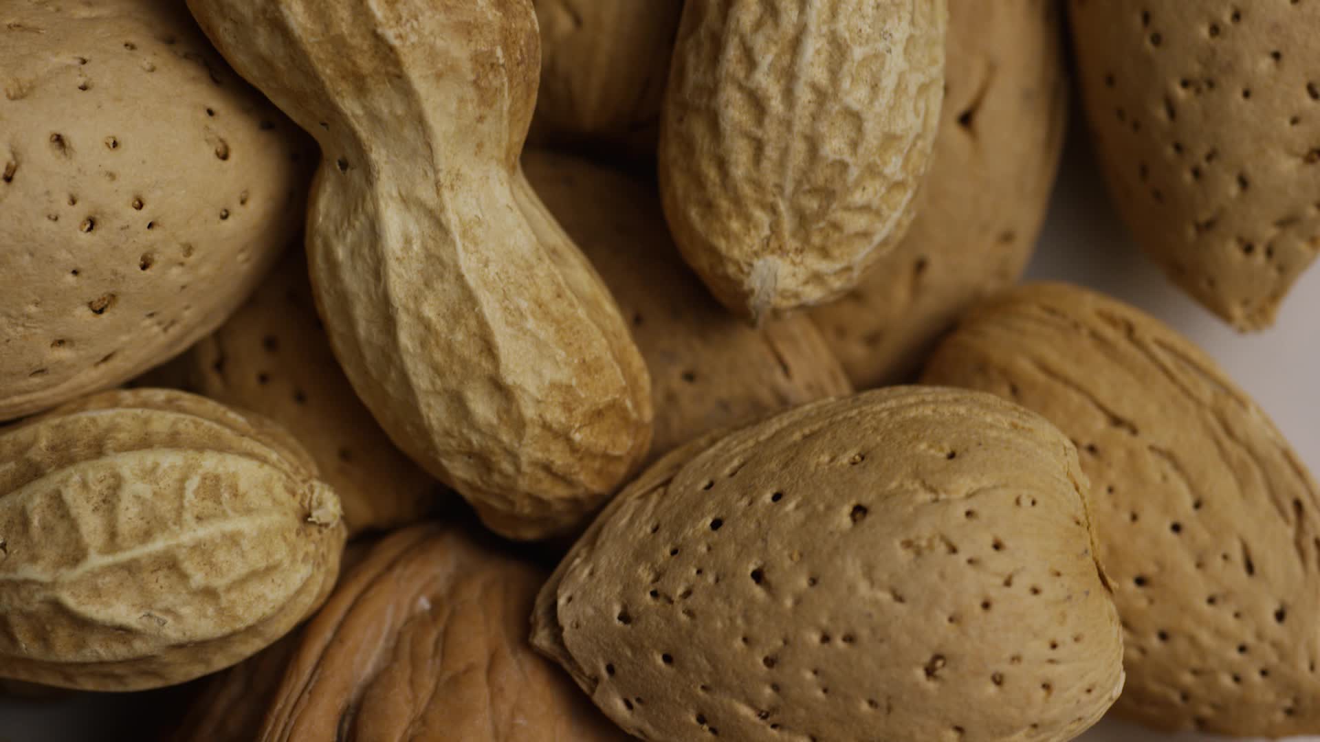 Nut stock video footage for free download