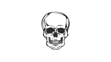 Dead Skull Head Laughing Loop video