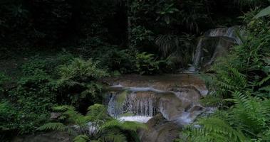 Bergregenwaldwasserfälle und kristallklares Wasser video