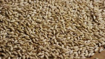 Rotating shot of barley and other beer brewing ingredients - BEER BREWING 121 video