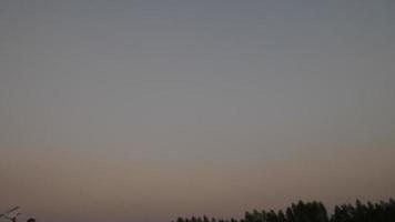 Boy running in a field with a toy wooden airplane in his hands at sunset video