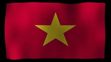 vietnam flagga 4k rörelse loop stock video