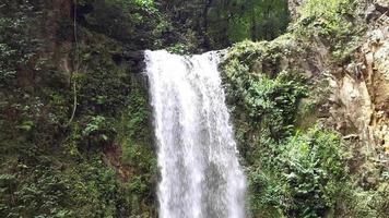 große schöne Wasserfall Wasserpflanzen und Felsen video