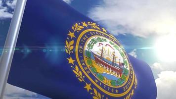 Waving flag of the state of New Hampshire USA video