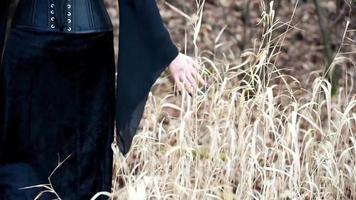 Viking woman strokes hands through reeds video