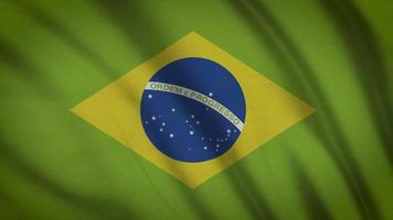 bandiera del Brasile video