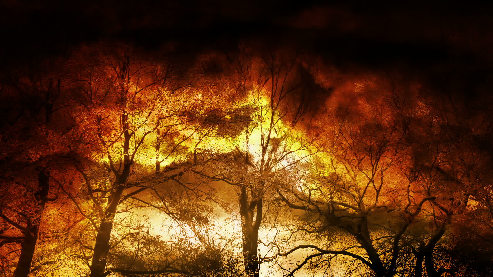 Forest Fire Animation Stock Video Footage for Free Download