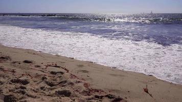 vagues se brisant sur la plage de californie 4k video