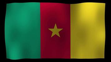 Vidéo de stock de boucle de mouvement 4k drapeau camerounais video