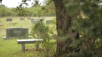 Friedhof Dolly hinter Baum video