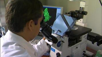 Man examining through microscope video