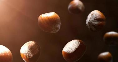 hazelnut falling in slow motion prores footage nuts brown food