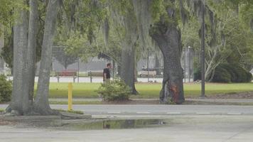 uomo che cammina sul marciapiede vicino a un parco video