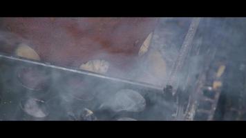 fumeur de barbecue avec des côtes à l'intérieur - bbq 012 video
