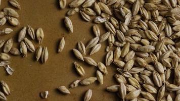 Rotating shot of barley and other beer brewing ingredients - BEER BREWING 135 video