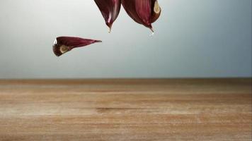 Garlic clove pieces bouncing in ultra slow motion 1,500 fps on a wooden surface - BBQ PHANTOM 036 video