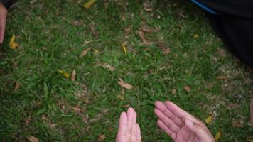 un groupe de mains tenant un coeur rouge. video