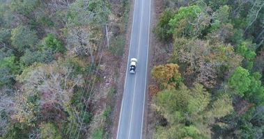 Toma aérea de la conducción de automóviles a través de la carretera forestal video