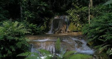 cascades de la forêt tropicale de montagne et eau cristalline video
