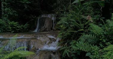 cascate della foresta pluviale di montagna e acqua cristallina video
