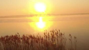 Aerial view of helicopter flying during gorgeous sunset in Germany video