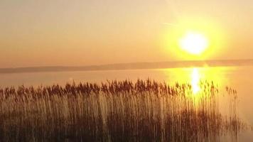 luchtfoto van helikopter vliegen tijdens prachtige zonsondergang in Duitsland video