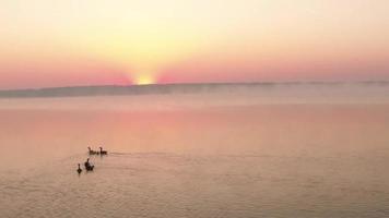 Vue aérienne d'hélicoptère volant pendant le magnifique coucher de soleil en Allemagne video