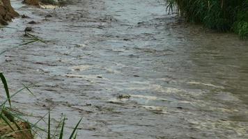 la pericolosa alluvione improvvisa dell'acqua cade nella stagione delle piogge video