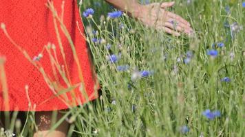 donna felice libera in un vestito rosso che gode della natura video