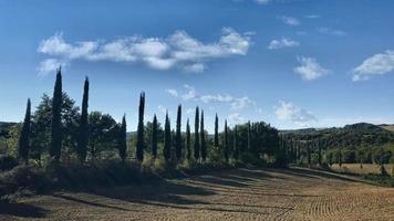 typisk landsväg i Toscana video