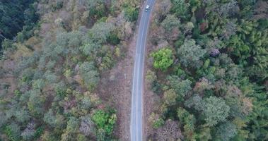Vue aérienne d'une voiture qui traverse une route forestière video