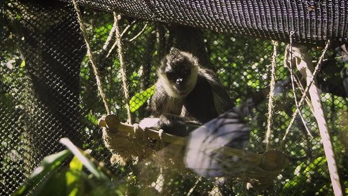 動物園影片