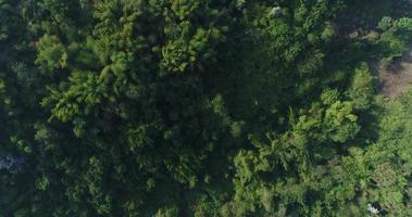 Aerial view rain forest in the mountain  video