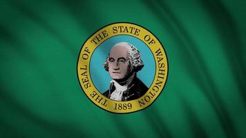 washington state flagga video