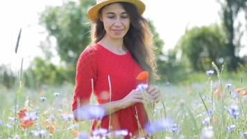 freie glückliche Frau in einem roten Kleid, das Natur genießt video