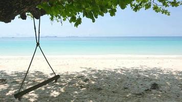 Empty wood swing around beach sea video