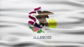 lazo de la bandera de illinois video