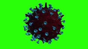 vírus animado com tela verde