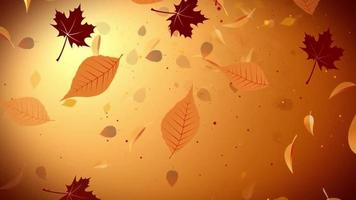 Golden yellow leaves falling in a brown background video