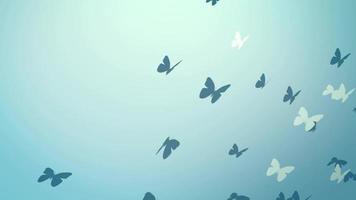 Flying Butterflies Background video
