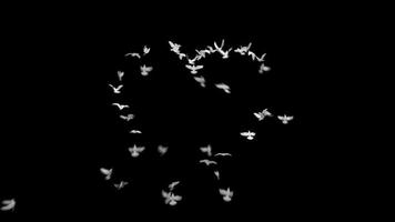 Flock of white birds flying to form the shape of a heart