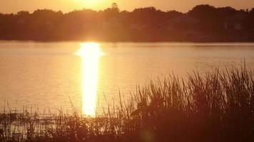 gyllene solnedgången reflekterar på vattnet video