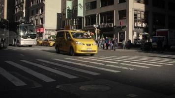 taxis y autobuses video