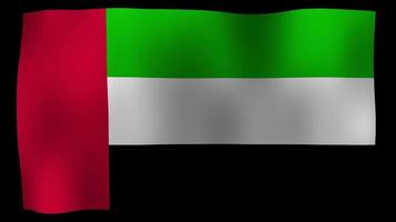 Los Emiratos Árabes Unidos bandera 4k movimiento loop stock video
